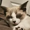 budsefella:) - @debbiechristensen04 - TikTok