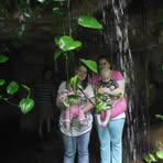 Debbie Christner - Facebook
