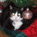 Debbie Cisco - Facebook
