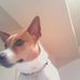 Debbie Clairmont - Facebook