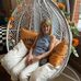 Deb Claxton - Facebook