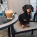 Debbie Claxton - Facebook