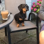 Debbie Claxton - @debbieclaxton8 - Instagram