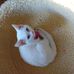 Debbie Claxton - Facebook