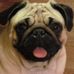 Debbie Clements - Facebook