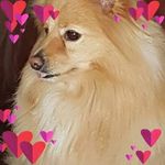 Debbie Clements - @debbie.clements.3572 - Instagram