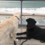 Debbie Clements - @debs.clements - Instagram