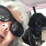 Debbie Clingan - @cddclingan - Instagram