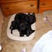 Deb Clute - Facebook