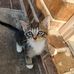 Debbie Clute - Facebook
