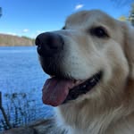 Debbie Cody-Nabors - @debbiecodynabors - Instagram