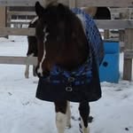 Debbie Cody Rabska - @k_bar_r_ranch_arena - Instagram