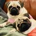 Debbie Coetzee - Facebook