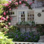 Debbi Conant - @homespun_angel - Instagram