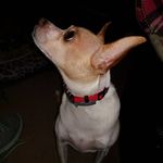 Debbie Condon - @dibcondon - Instagram