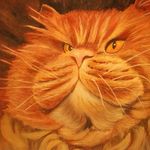 Debbie Condon - @debbie.condon.7 - Instagram