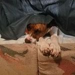 Debbie Condon-Hill - @lil_double_d1 - Instagram
