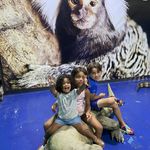 Debbie Pelose Condon - @debc1217 - Instagram