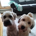 Debbie Conway - @debbie.conway.58910 - Instagram