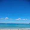 Debbie Conway Costelnik - @debbie.conway.cos - TikTok