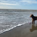Debbie Cooney - @debbiecooney1livecouk - Instagram