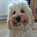 Debbie Cooney - Facebook