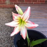 Debbie Cooney - @debbie.cooney.75 - Instagram