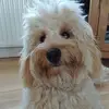 debbiecooney - @debbiecooney - TikTok
