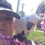 Debbie Coons Pieroni - @debpieroni - Instagram