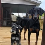 Debbie Cormier Robichaud - @ddrrobi - Instagram