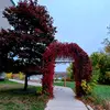 Debbie Coughlin577 - @debbiecoughlin577 - TikTok