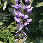 Debbie Coughlin - @debbie.coughlin.18 - Instagram
