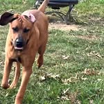 Debbie Coughlin - @coughlindebbie - Instagram