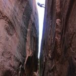 Debbie Coughlin - @debbie.coughlin.3 - Instagram