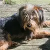 Debbie P Crabby - @debbie.p.crabby - TikTok