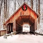 Debbie Cramer - @debbiecramer4923 - Instagram