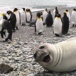 Debbie Cramer - @debbie.cramer.10 - Instagram