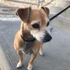 debbiecramer805 - @debbiecramer805 - TikTok