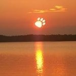 Debbie Crenshaw - @crenshaw1951 - Instagram