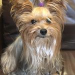Debbie Crenshaw - @debbie.b.crenshaw - Instagram