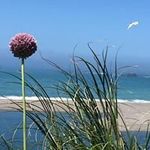 Debbie Heeney Crenshaw - @mikedebbiec - Instagram