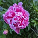 Debbie Rhoads Crenshaw - @crenshaw5507 - Instagram