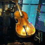 Debbie Sloan-Cribb - @sloancribb - Instagram