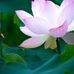 Debbie Crist - Facebook