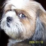 Debbie Crombie - @debbiecrombie - Instagram