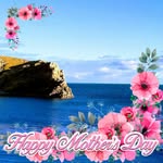 Debbie Crombie - @crombiedebbie - Instagram