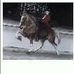 Debbie Cromer Nix Sarver - Facebook