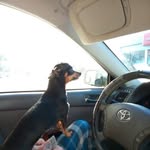 Debbie Crum - @debocrum54 - Instagram