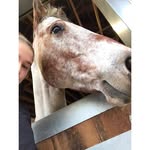 Debbie Cull - @cull_debbie - Instagram