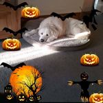 Debbie Curry - @debbiecurry1960 - Instagram